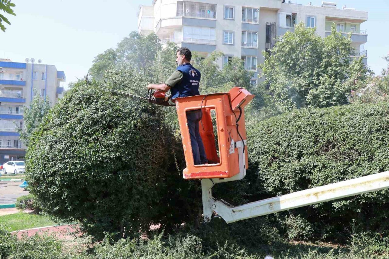 Haliliye Belediyesi ilçe genelinde yürüttüğü peyzaj düzenlemeleri ve park yenileme