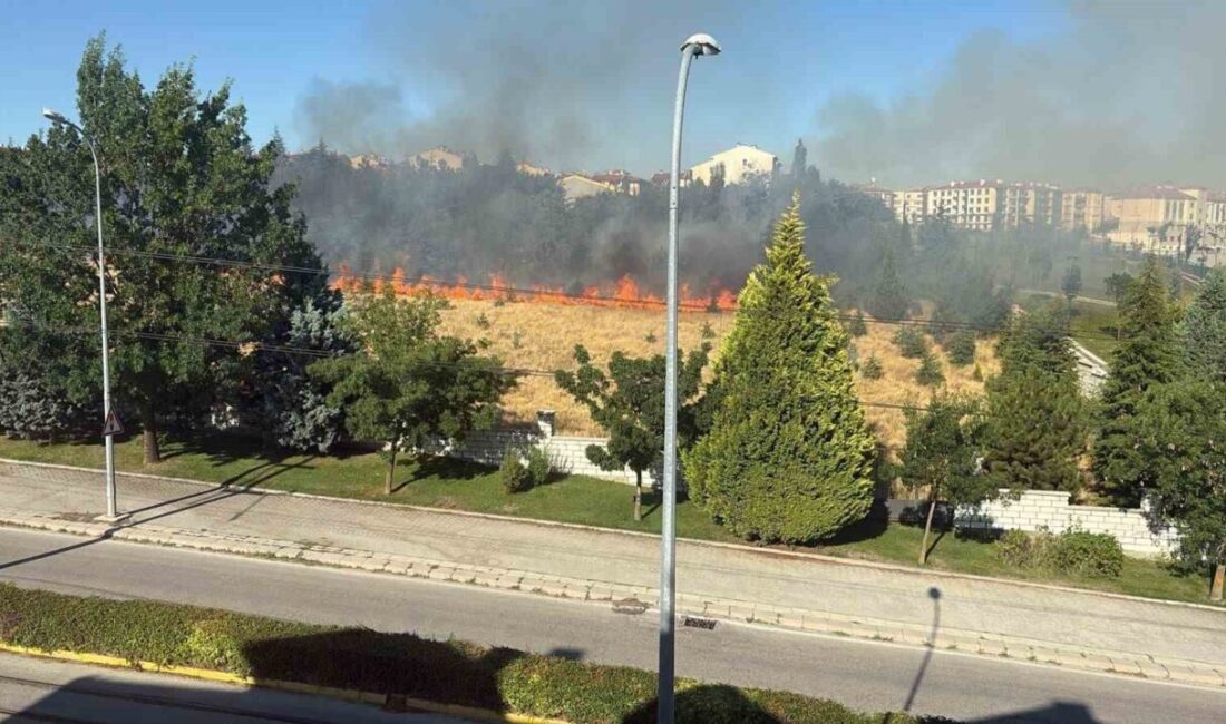 Eskişehir’de parkta ağaçların tutuştuğu ve geniş alana yayılan yangın, itfaiye