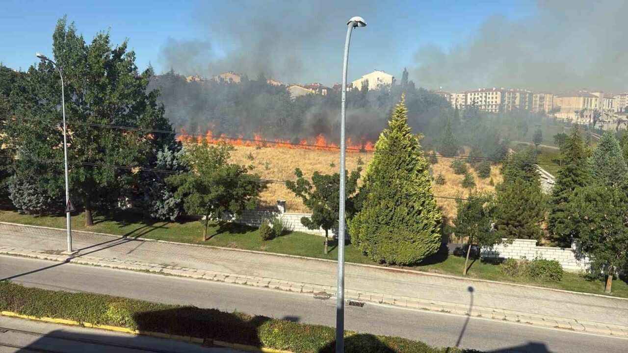 Eskişehir’de parkta ağaçların tutuştuğu ve geniş alana yayılan yangın, itfaiye