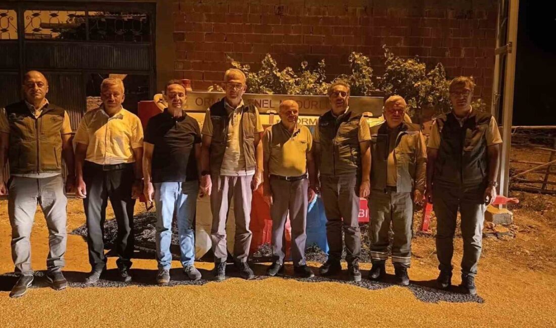 Bursa’nın Harmancık ilçesinde çıkan orman yangınına patlak lastikli traktör römorkuyla