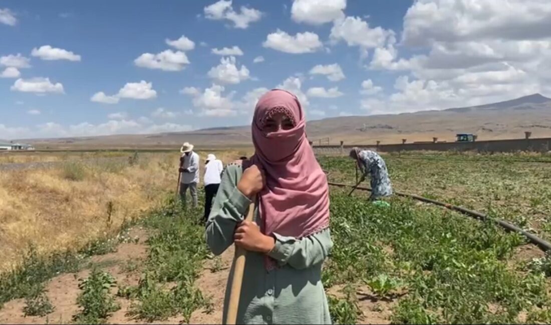 Ağrı’nın Patnos ilçesine bağlı Aşağı Göçmez Köyü’nde kadınlar, kavurucu sıcaklara