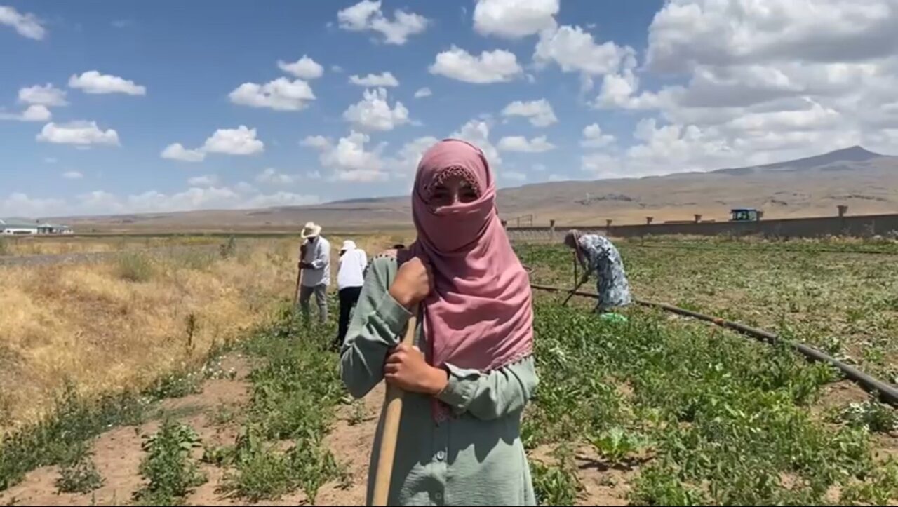 Ağrı’nın Patnos ilçesine bağlı Aşağı Göçmez Köyü’nde kadınlar, kavurucu sıcaklara