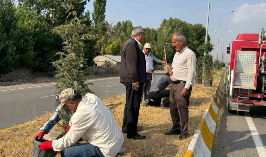 Patnos Belediyesi, ilçeyi daha yaşanabilir hale getirmek amacıyla yürüttüğü çevre