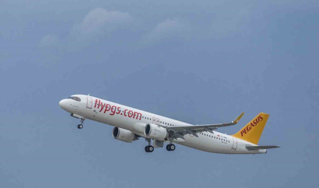 Pegasus Hava Yolları, insan kaynakları alanındaki projeleriyle Stevie Awards for