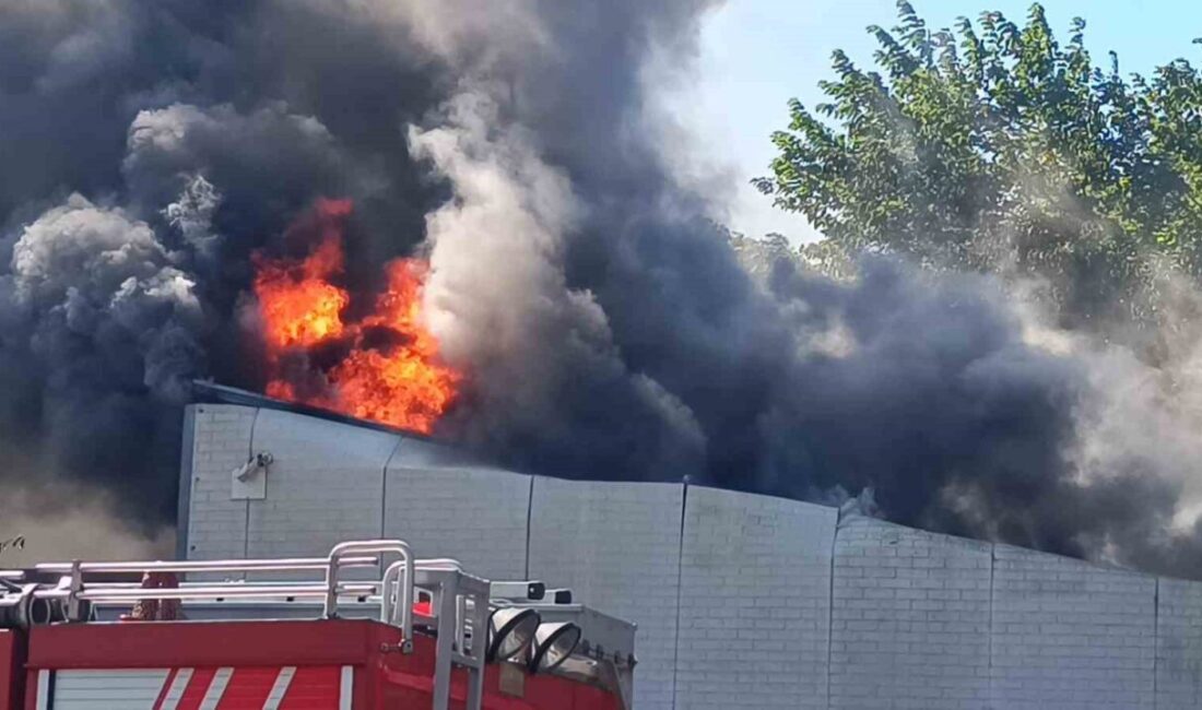 Pendik’te atık su arıtma tesisinde yangın çıktı. Olay yerine çok