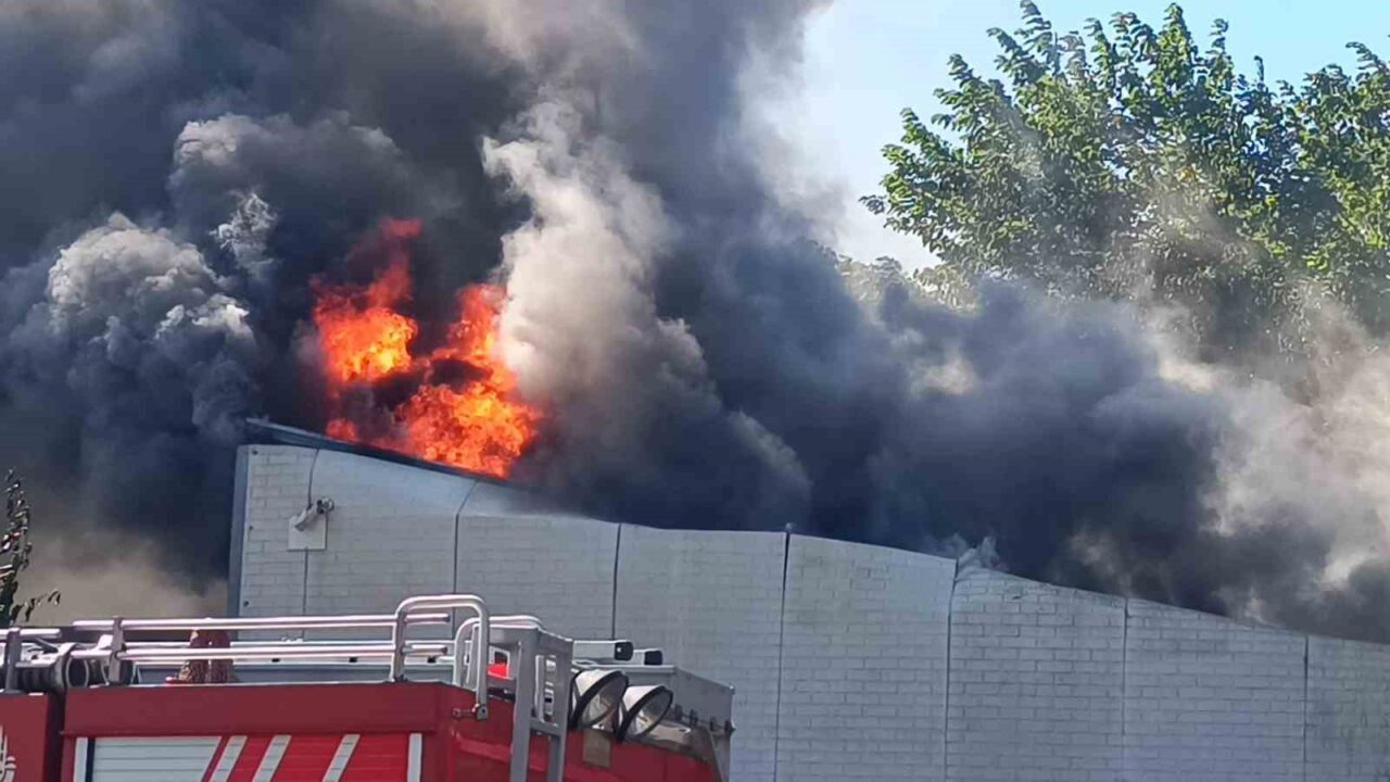 Pendik’te atık su arıtma tesisinde yangın çıktı. Olay yerine çok