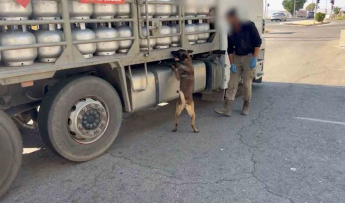 Batman’da durdurulan kamyonda yapılan aramada, piknik tüpü içerisine zulalanmış 2