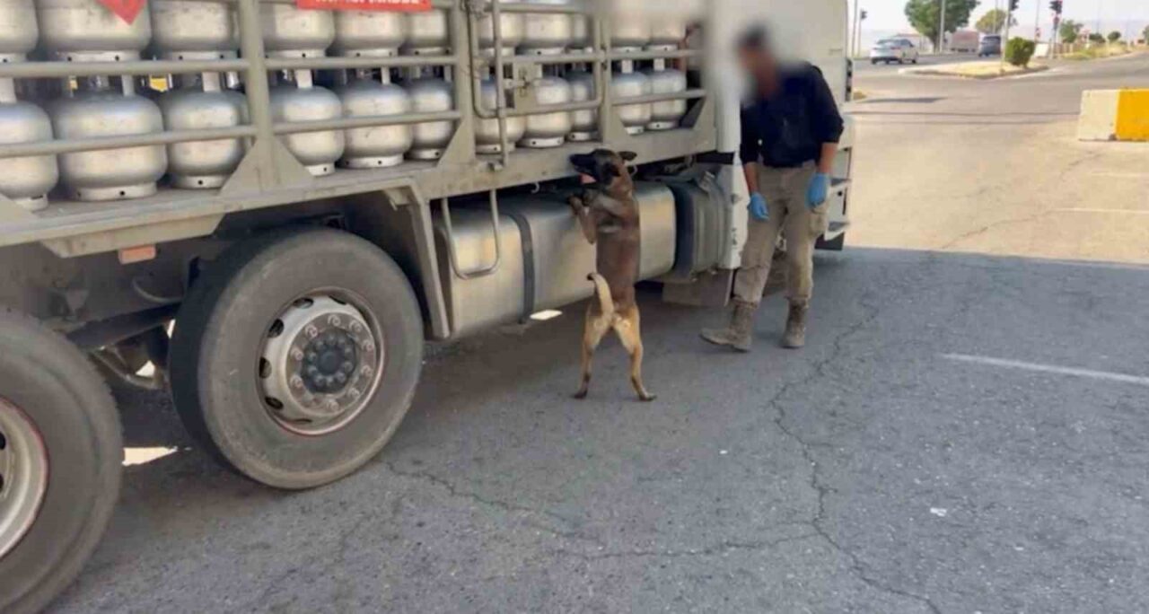Batman’da durdurulan kamyonda yapılan aramada, piknik tüpü içerisine zulalanmış 2
