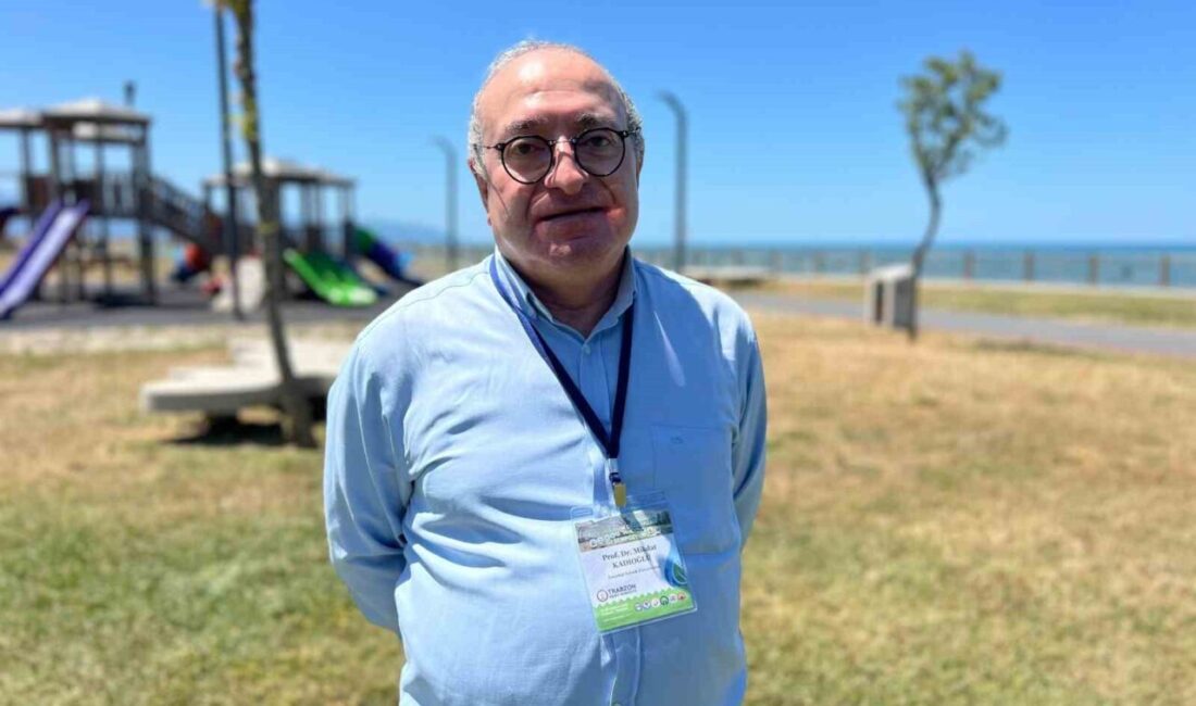 İstanbul Teknik Üniversitesi (İTÜ) Afet Yönetim Enstitüsü Müdürü Prof. Dr.