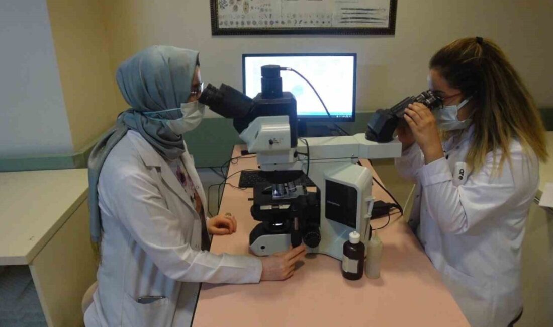 Dünya genelinde 350 milyondan fazla kişinin hepatit ile yaşadığını belirten