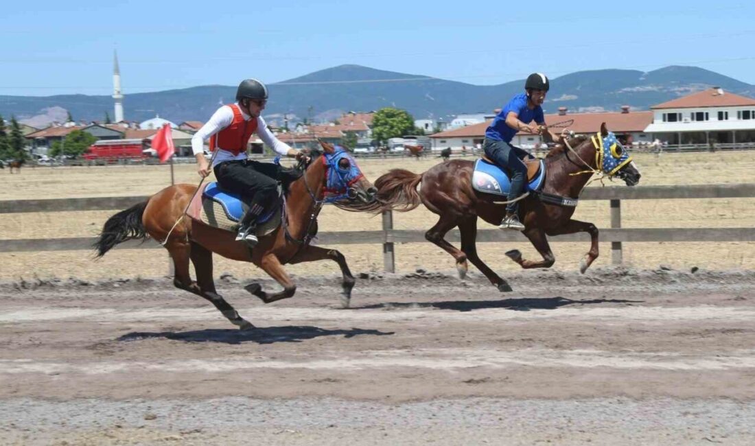 Gölcük’te düzenlenen Geleneksel Rahvan At Yarışları Değirmendere Koşusu’na, Türkiye’nin dört