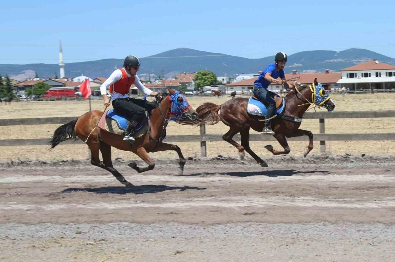 Gölcük’te düzenlenen Geleneksel Rahvan At Yarışları Değirmendere Koşusu’na, Türkiye’nin dört