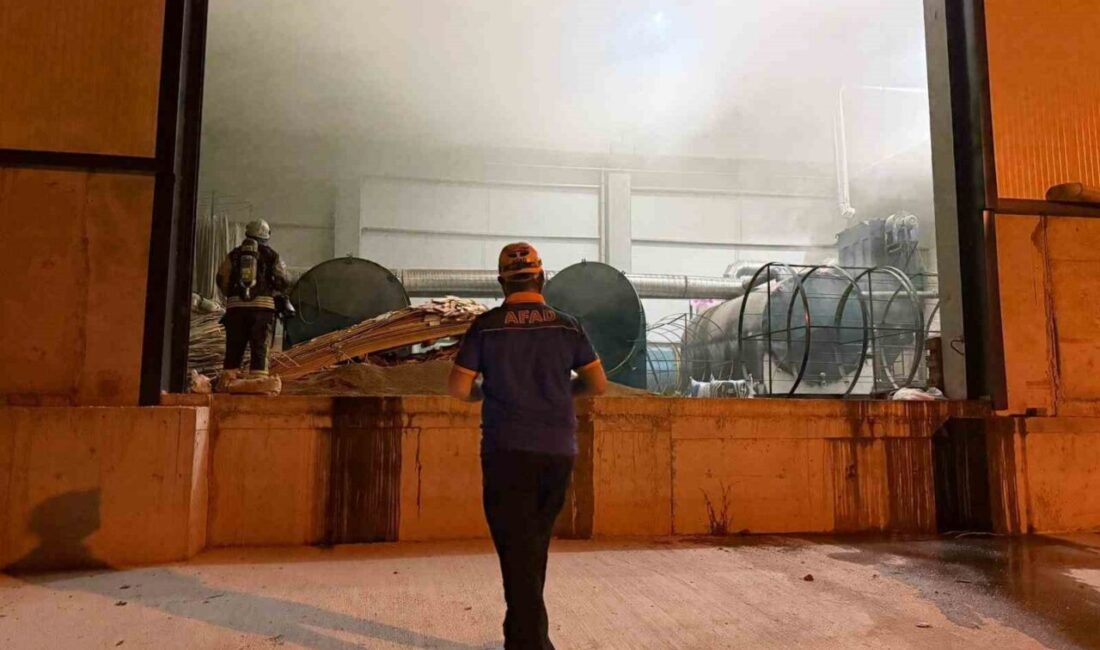 Kocaeli’nin Körfez ilçesinde bacalı sanayi kurulması yasak olan bölgede ruhsatsız