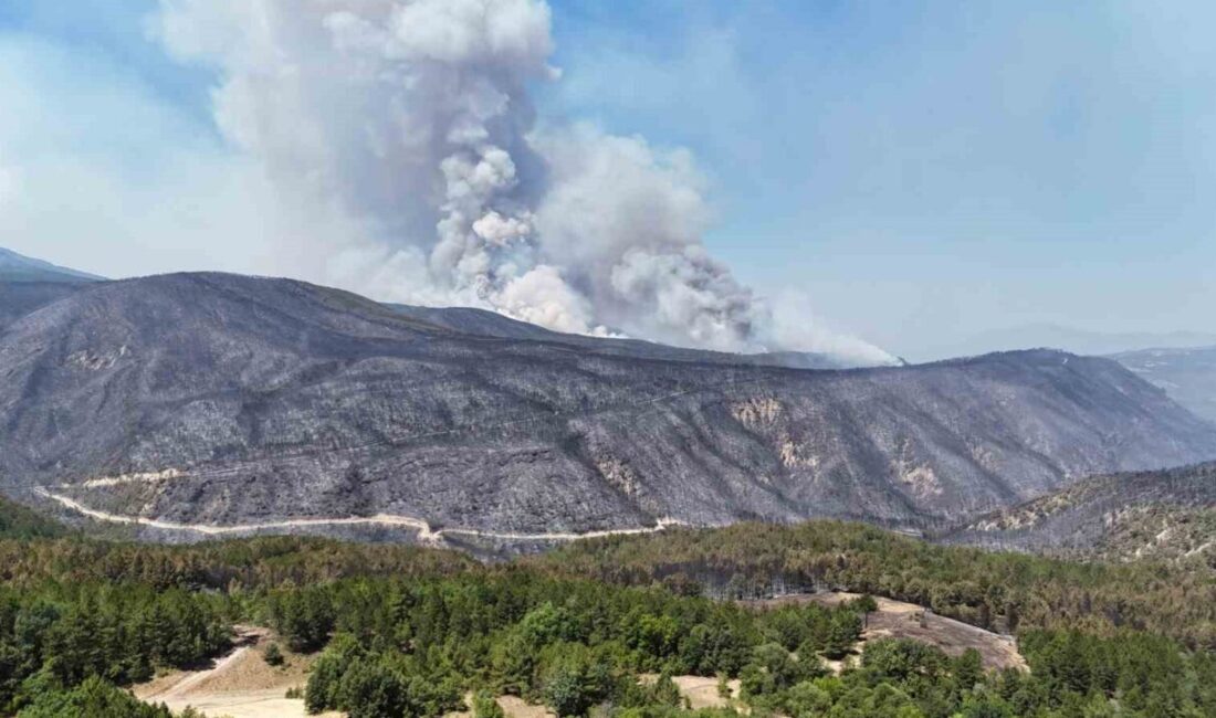 Karabük’te yaklaşık 45 saattir kontrol altına alınmaya çalışılan orman yangını