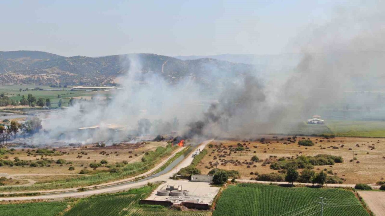 Aydın’ın Efeler ilçesindeki bir arazide çıkan ve rüzgarla geniş alana
