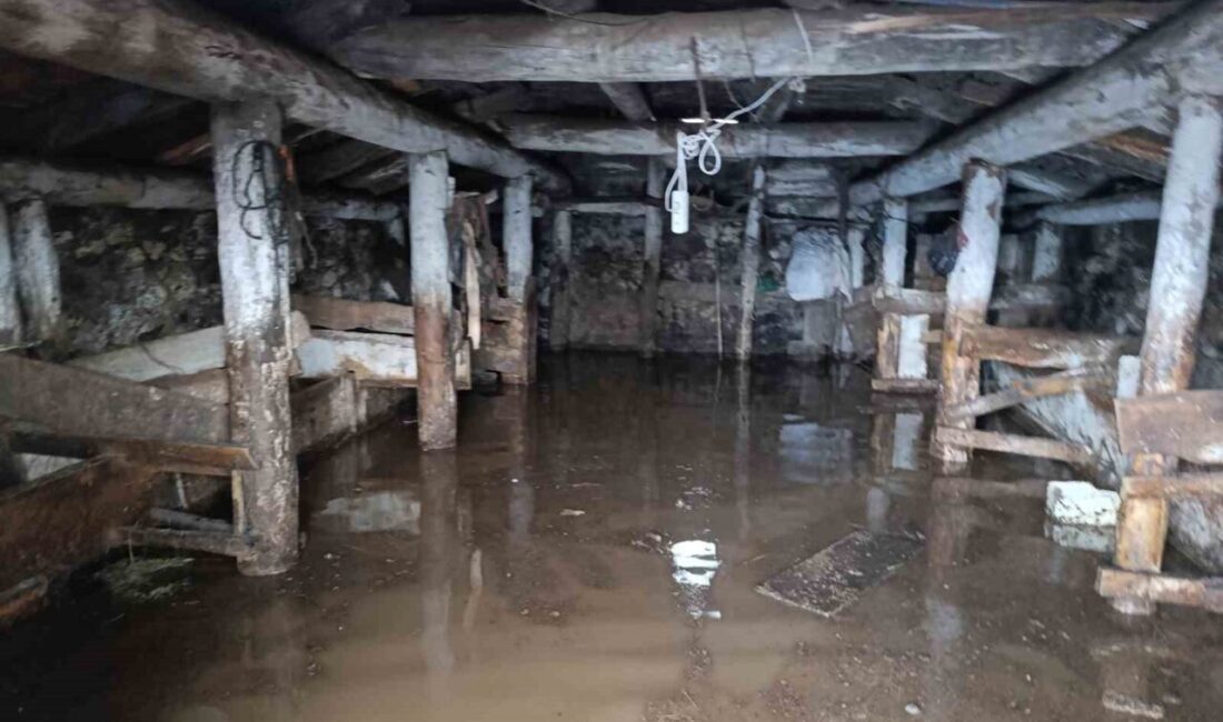 Ardahan’ın Göle ilçesine bağlı Uğurtaşı köyünün ortasından geçen dere, etkili