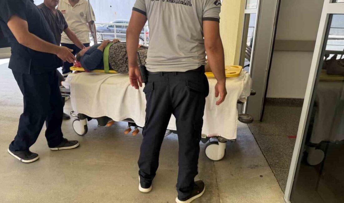 Antalya’nın Gazipaşa ilçesinde şehir merkezine 50 kilometre uzaklıkta bulunan yaylada