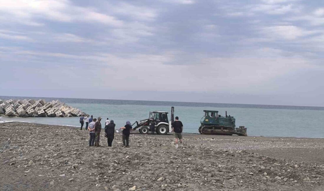 Kastamonu’nun Abana ilçesinde sahilde dinlenen kadın, temizlik yapan iş makinesinin