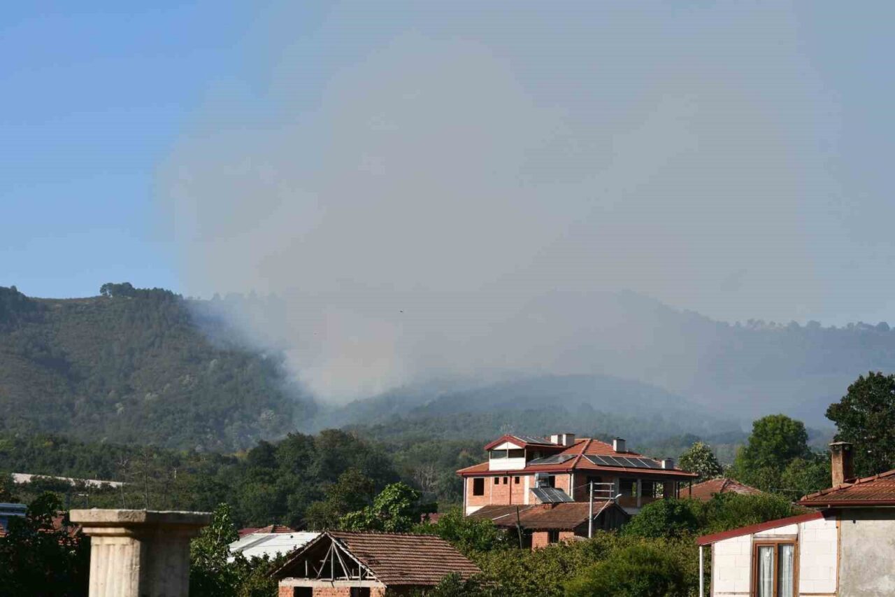 Sakarya’nın Hendek ilçesinde ormanlık alanda çıkan yangın, ekiplerin yoğun çabaları