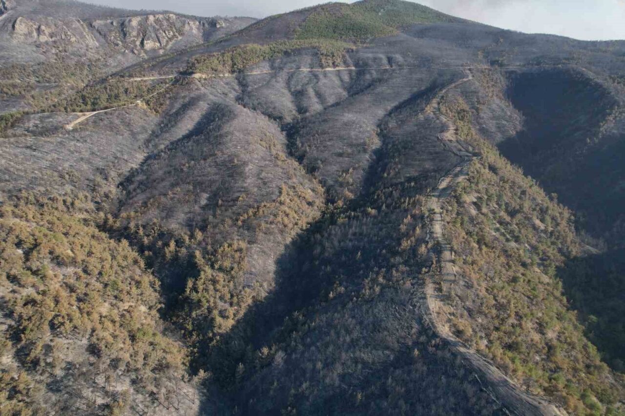 Sakarya’nın Geyve ilçesinde ormanlık alanda çıkan ve geniş bir alana