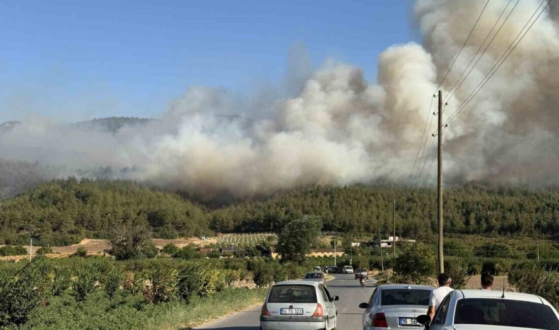 Sakarya’da Geyve ile Pamukova arasında yer alan Çardak Mahallesi yakınlarında