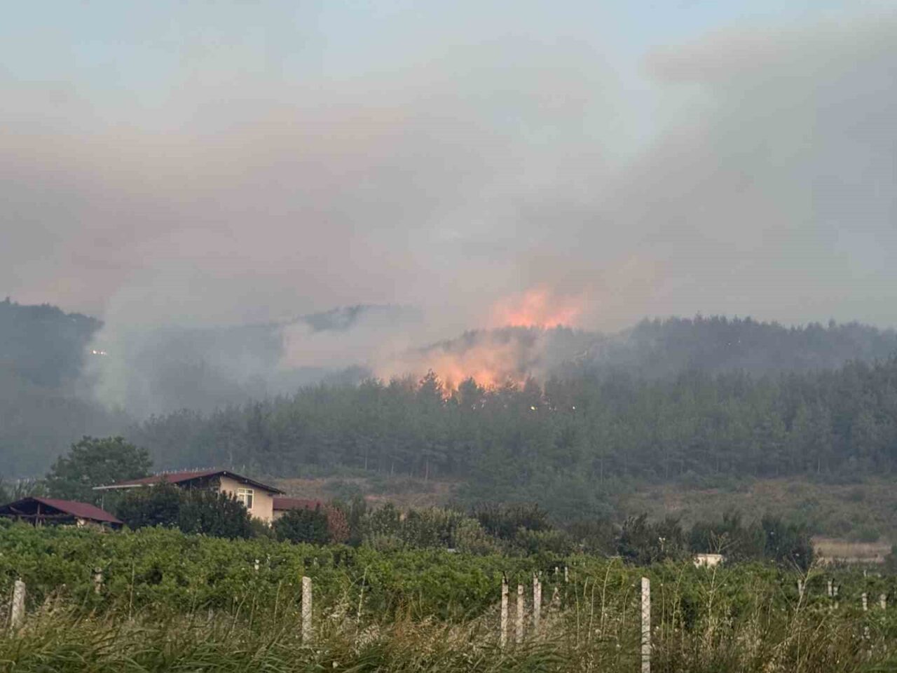 Sakarya’nın Geyve kırsalında çıkan orman yangınına 8 helikopter ve 5