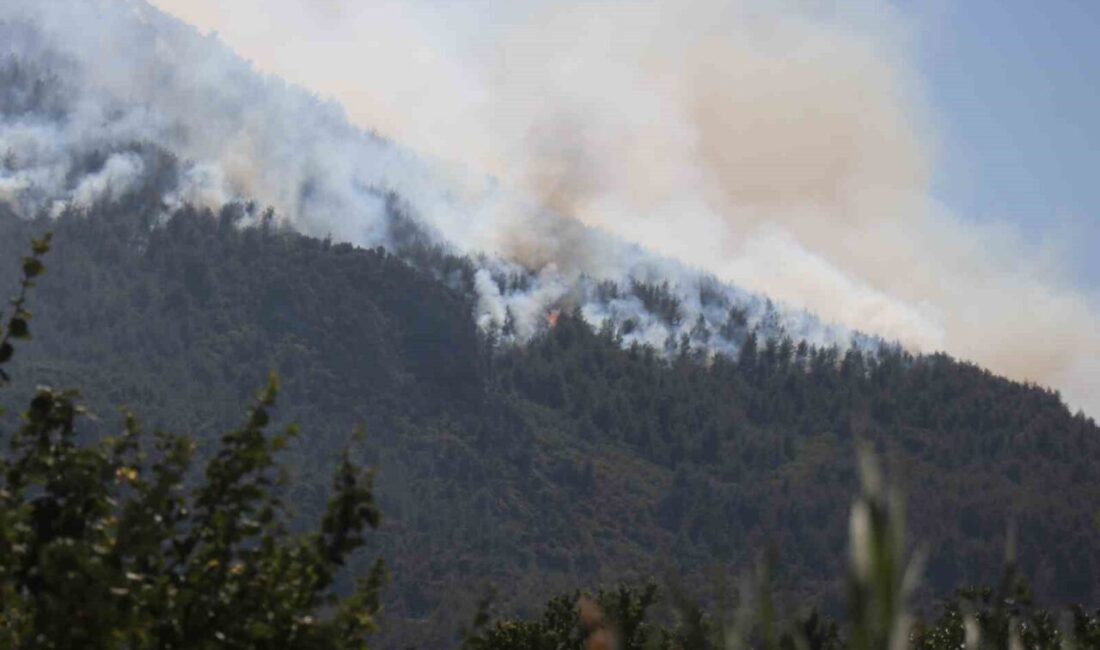 Sakarya’nın Geyve ilçesinde başlayan ve geniş alana yayılan orman yangını,