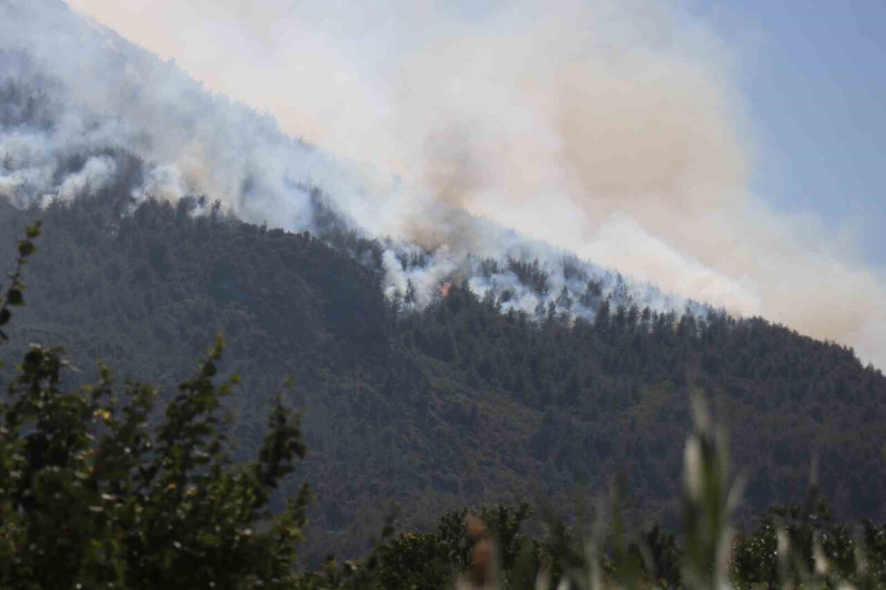 Sakarya’nın Geyve ilçesinde başlayan ve geniş alana yayılan orman yangını,