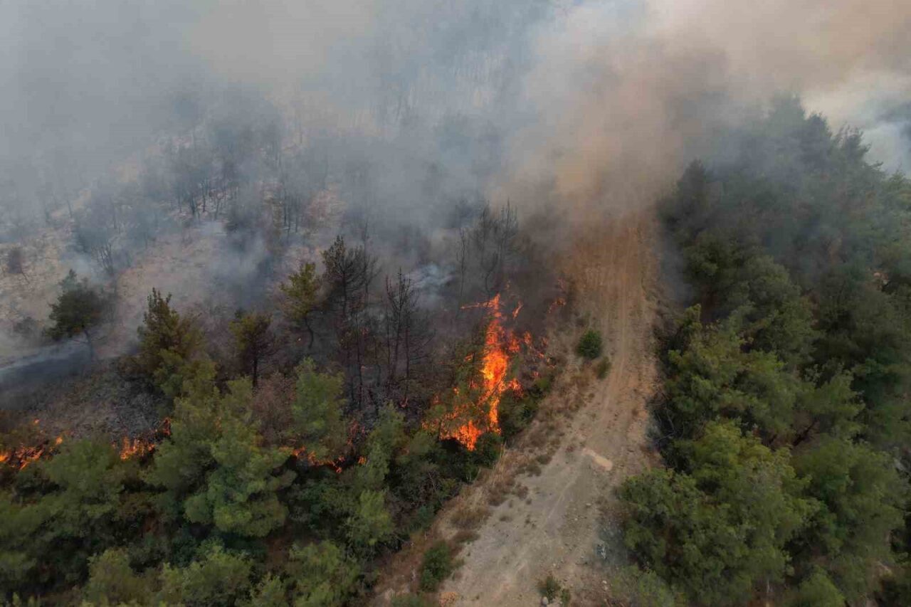 Sakarya’nın Geyve ilçesinde yaklaşık 45 saat önce başlayan orman yangını,