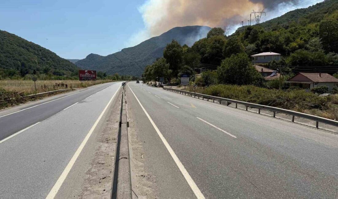 Sakarya’nın Geyve ilçesinde çıkan orman yangını nedeniyle D-650 kara yolunun