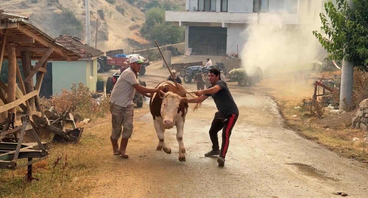 Sakarya’da Geyve ile Pamukova arasında yer alan Çardak Mahallesi yakınlarında
