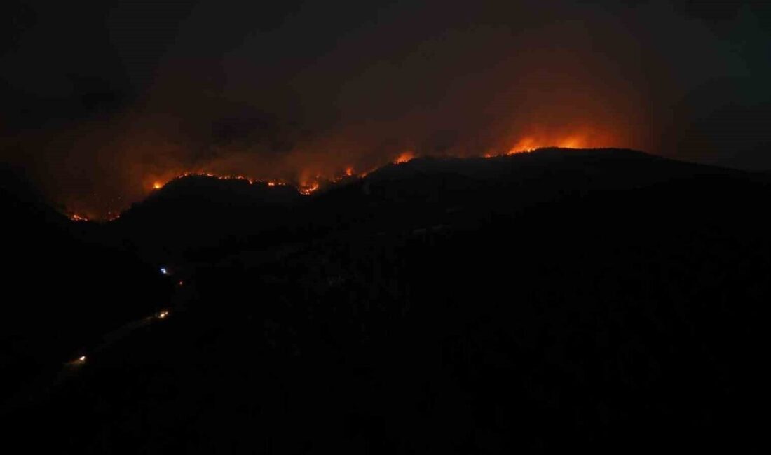 Sakarya’nın Geyve ilçesinde başlayan ve geniş bir alana yayılan orman