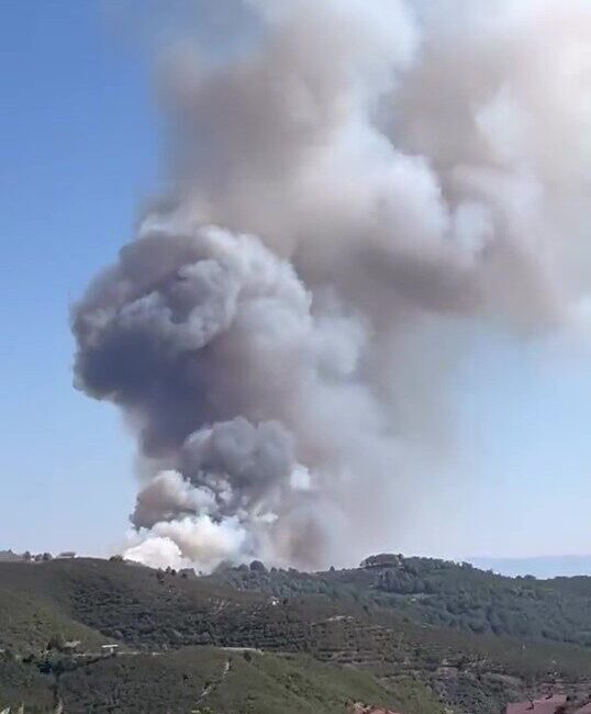 Sakarya’da Geyve ve Adapazarı’nın ardından Hendek’te de yangın çıktı. Bölgeye
