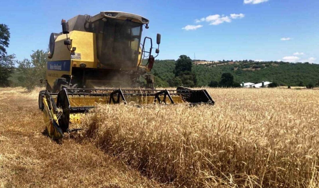Samsun’da 2025-2027 yıllarını kapsayan bitkisel üretim planlaması kapsamında 2 yılda