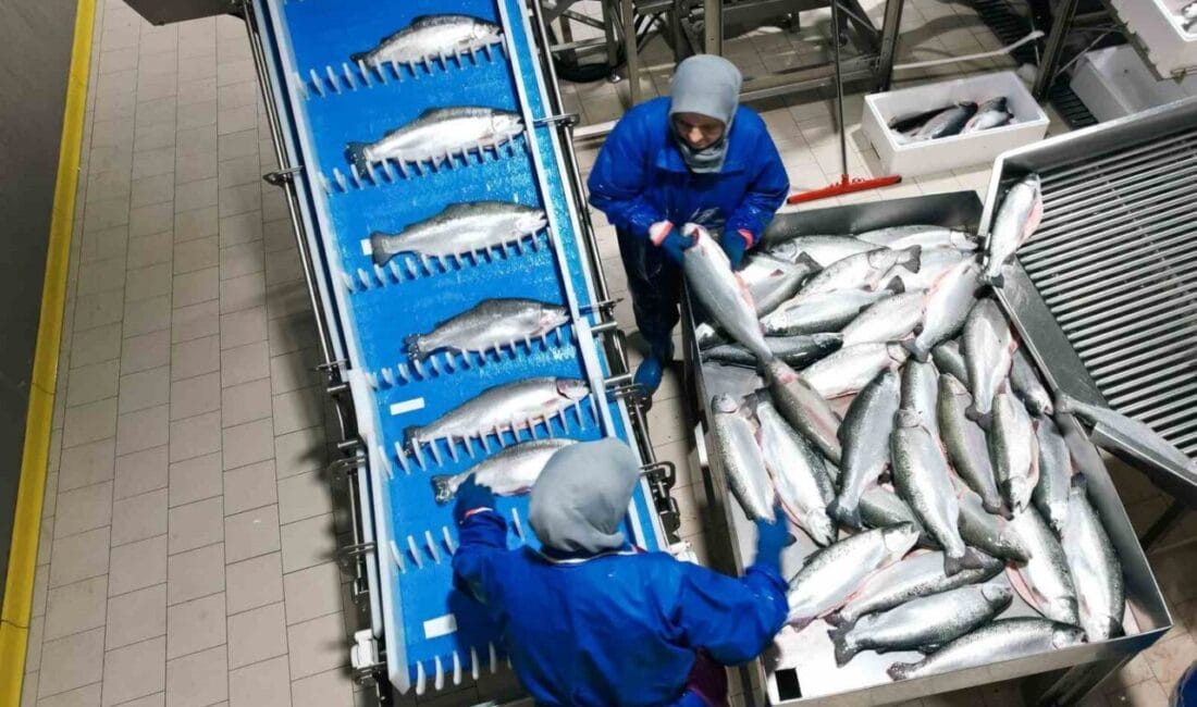 Samsun İl Tarım ve Orman Müdürü İbrahim Sağlam, 2025 yılının