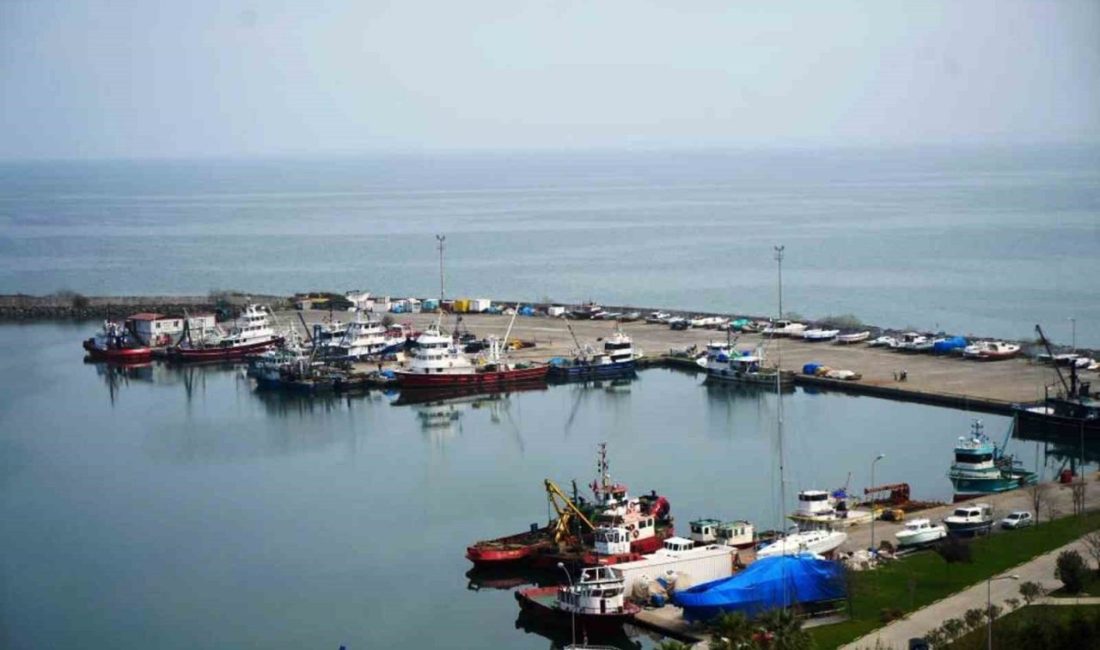 Samsun’da deniz, iç sular ve yetiştirme merkezleri olmak üzere 2025