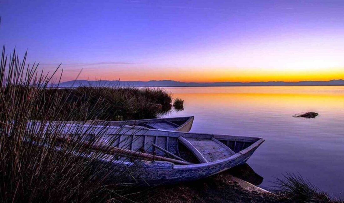 2025 av sezonunda satılan 3 bin 368 adet av pulundan