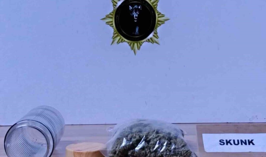 Samsun’da narkotik polisi tarafından düzenlenen uyuşturucu operasyonunda 7 kişi gözaltına