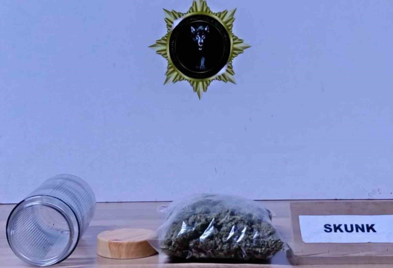 Samsun’da narkotik polisi tarafından düzenlenen uyuşturucu operasyonunda 7 kişi gözaltına