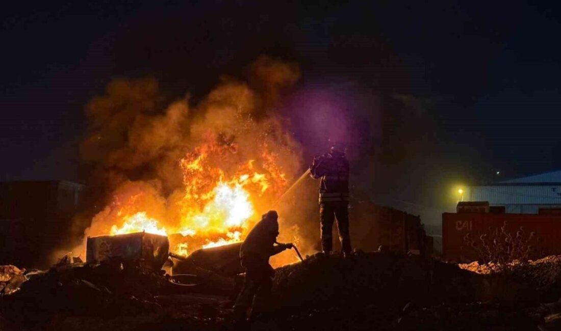 Hatay’ın Antakya ilçesinde bulunan Yeni Sanayi Sitesi’ndeki hurdalık alanda çıkan