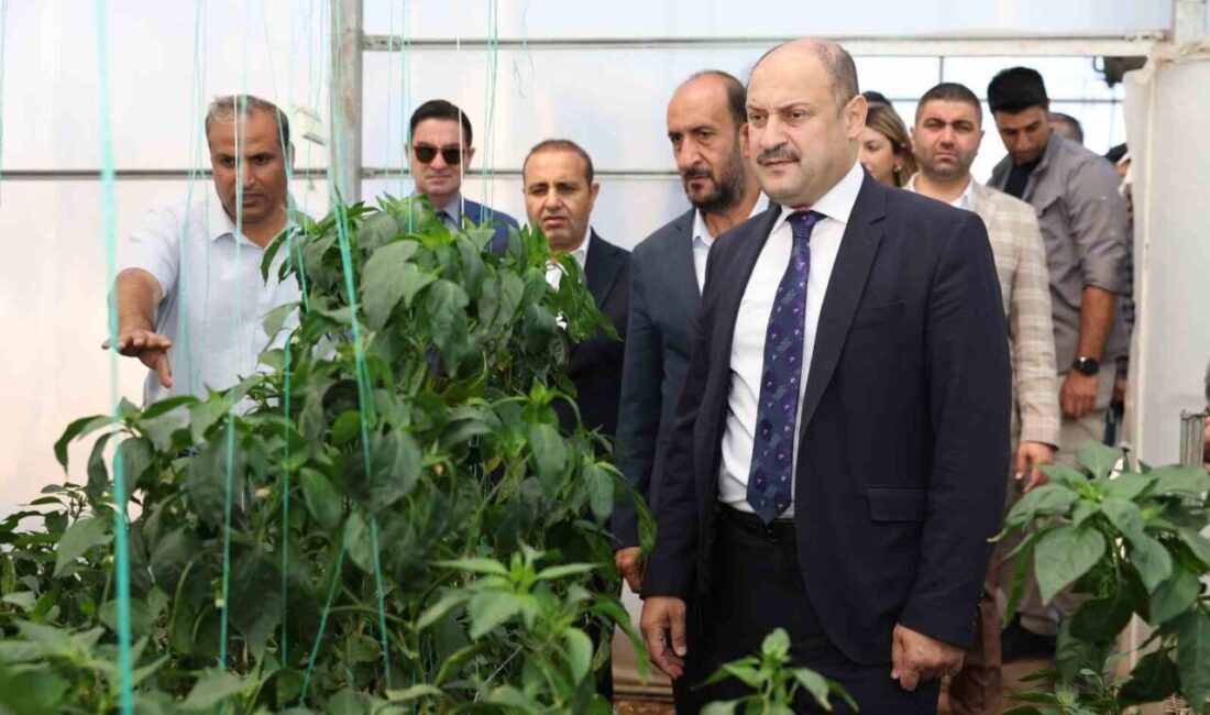 Şanlıurfa Büyükşehir Belediyesi, Cumhurbaşkanı Recep Tayyip Erdoğan’ın eşi Emine Erdoğan’ın