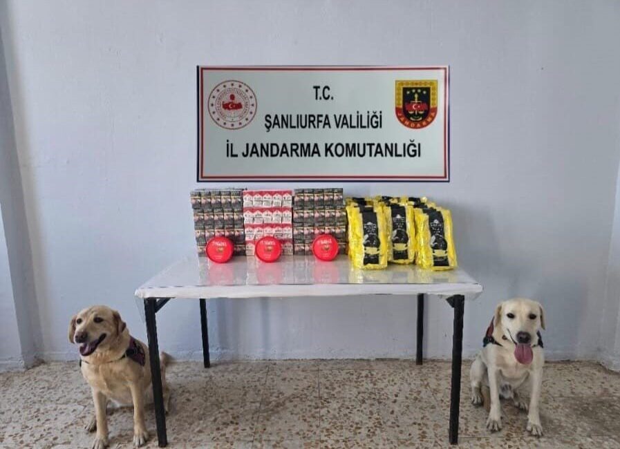 Şanlıurfa’da jandarma ekipleri tarafından gerçekleştirilen şok yol uygulamasında 3 bin