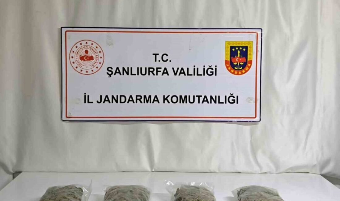 Şanlıurfa’da jandarma ekipleri tarafından durdurulan 2 ayrı araçta biri 4