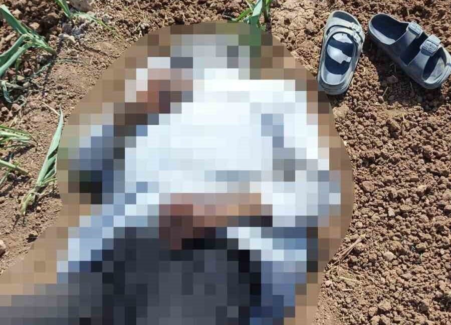 Şanlıurfa’nın Akçakale ilçesinde mısır tarlasında bir erkek cesedi bulundu. Edinilen