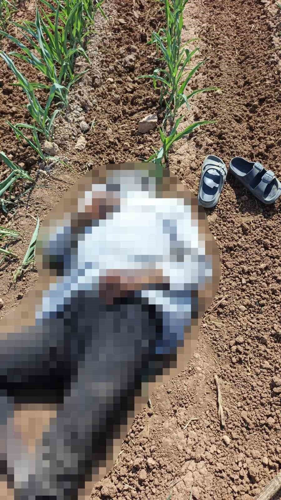 Şanlıurfa’nın Akçakale ilçesinde mısır tarlasında bir erkek cesedi bulundu. Edinilen