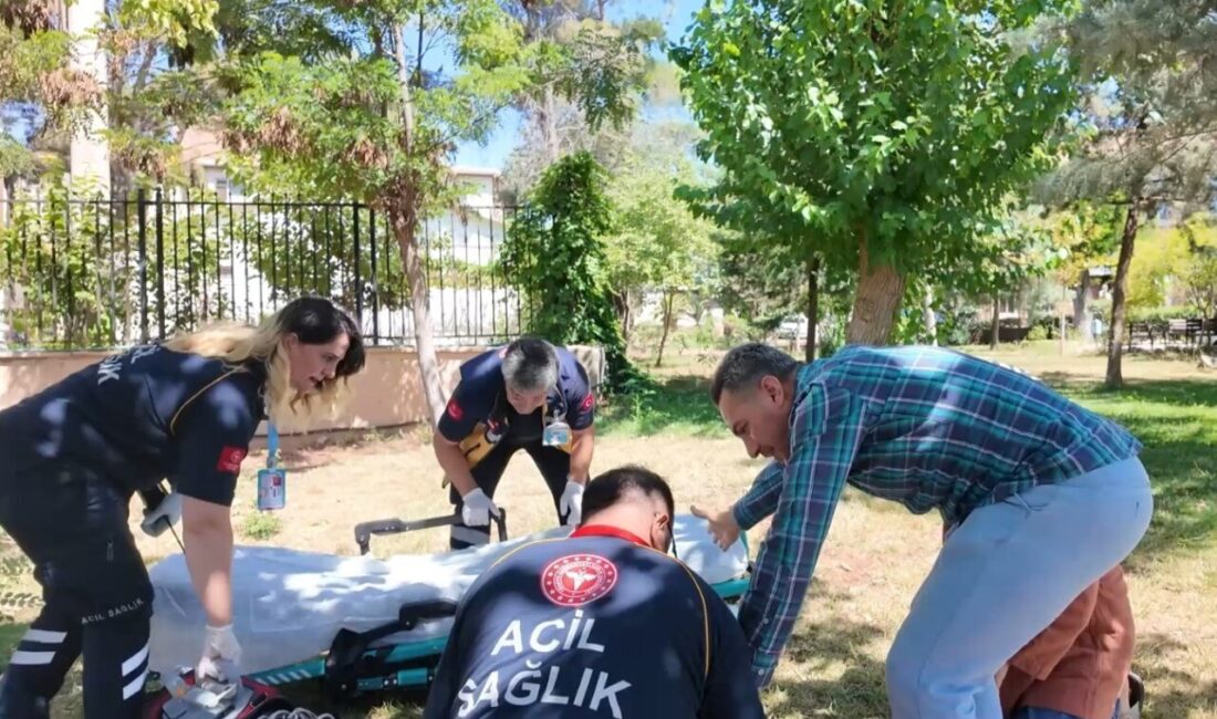 Şanlıurfa İl Sağlık Müdürlüğü tarafından sağlık çalışanlarının maruz kaldığı şiddet