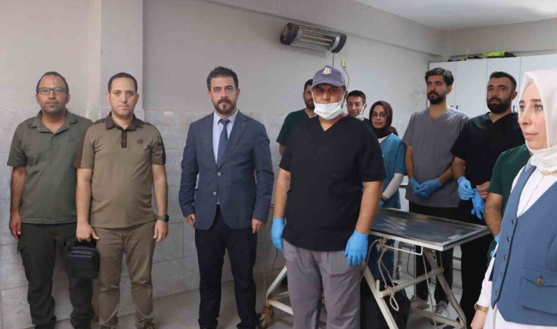 Şanlıurfa’da sokak hayvanları için önemli bir adım atılıyor. Büyükşehir Belediyesi