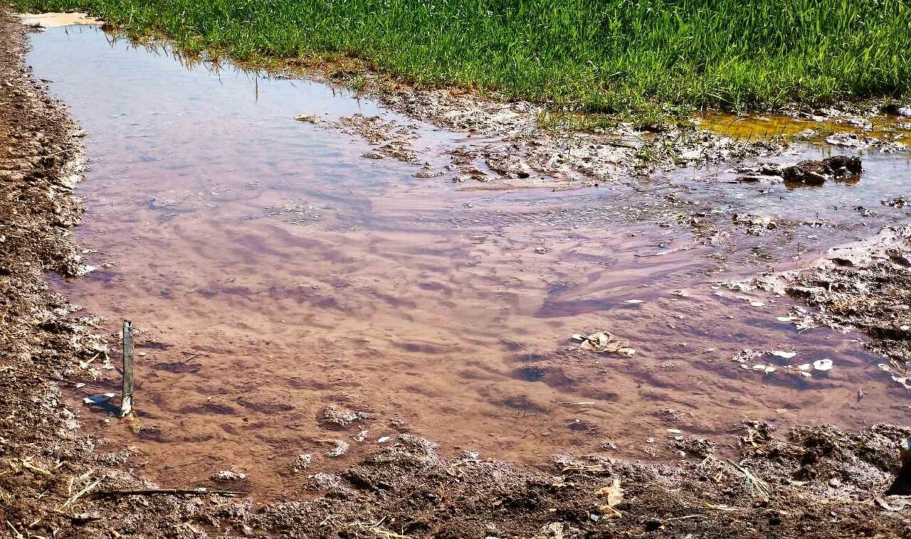 Dicle Elektrik, Tarım ve Orman Bakanlığının kuraklık tedbirlerine rağmen yapılan
