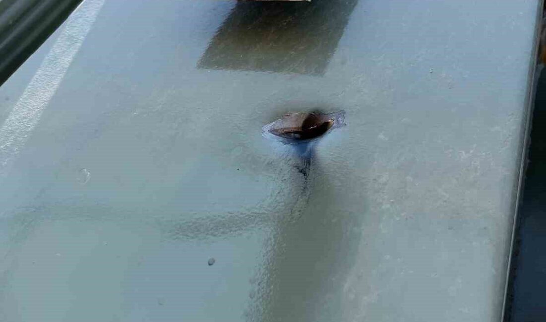 Dicle Elektrik, Şanlıurfa’da bir günde gerçekleştirdiği yapay zeka ve dron