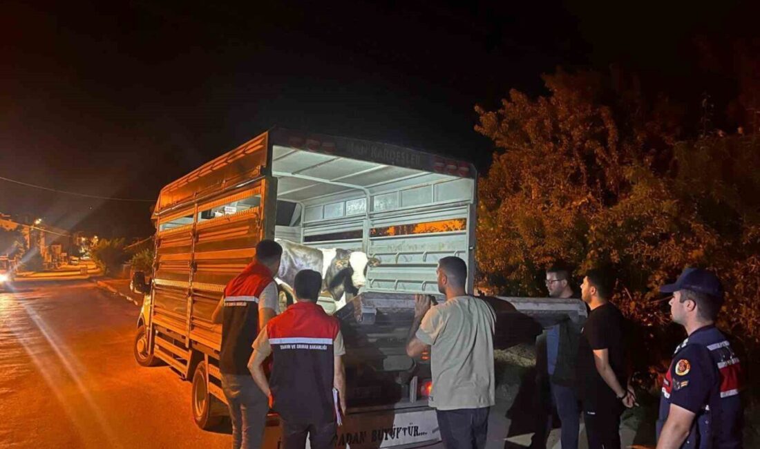 Yozgat’ın Çayıralan ilçesinde şap hastalığı tedbirlerine uymayan besiciye 105 bin